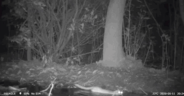 圖片關(guān)鍵詞