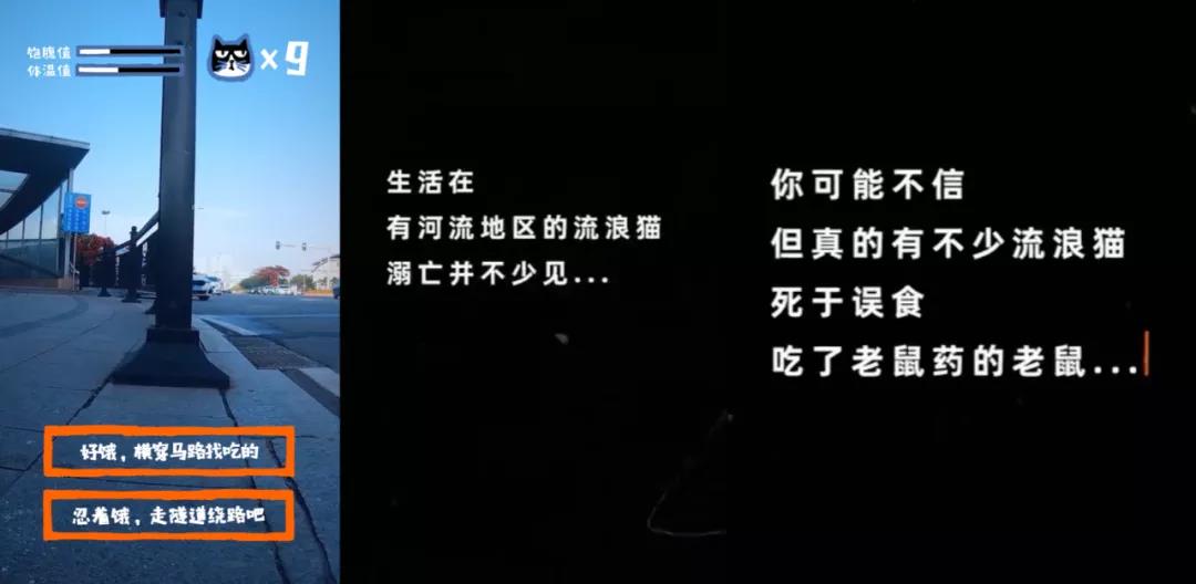 圖片關(guān)鍵詞