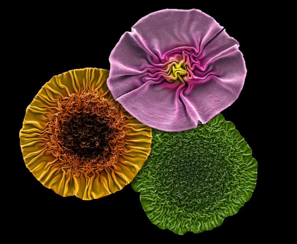 圖片關鍵詞 圖片關鍵詞