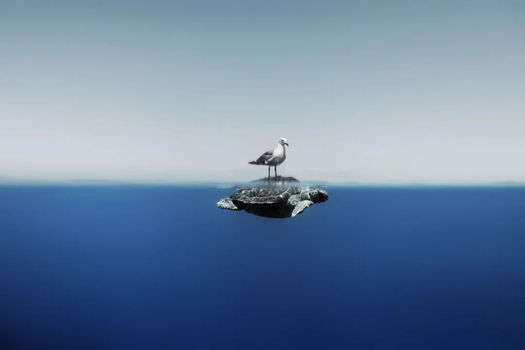 圖片關鍵詞 圖片關鍵詞