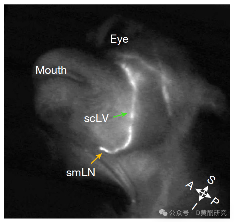 1752229578643206.png 微信圖片_20250711182137.png