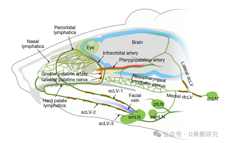 1752229584646035.png 微信圖片_20250711182149.png