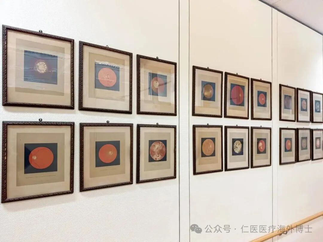 1772267537176822.jpg 640 (17).jpg