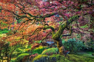 仁醫特刊 | 2019 從廣州到慕尼黑（三）