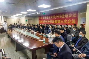 Sino-German Video Conference: To Inspire New Ideas on Minimally Invasive Spine Surgery