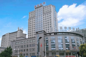 中德高水平醫院管理會議