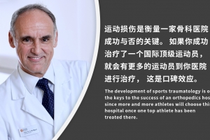 Sports Medicine in Germany - Origin, development and future challenges