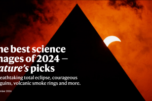 Nature2024年度最佳科學圖片公布！