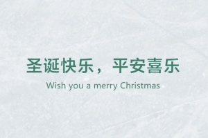 Wish you a merry Christmas